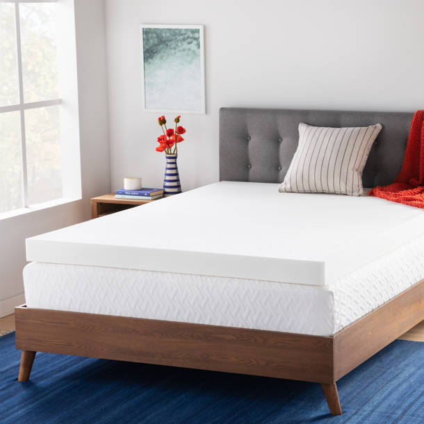 CosmopolitanFurniture 6 Leg Camping Single Bed Cot & Reviews Wayfair